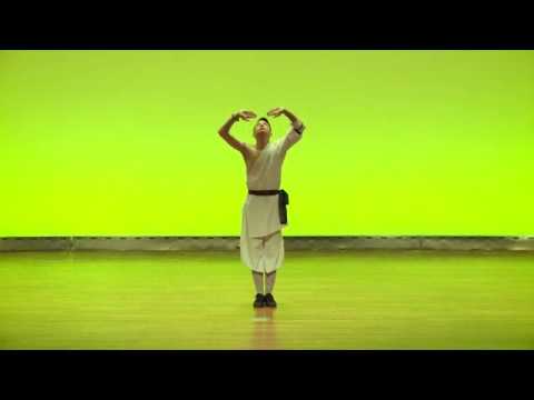 Shaolin Ba Duan Jin 少林八段錦「第11回 中国武術 健身気功 五