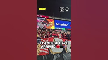 Thumbnail of Flamengo Fans Bringing The Noise