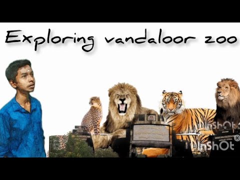 Aringar anna zoological park vlog/Exploring AAZP#vandalurzoo # ...