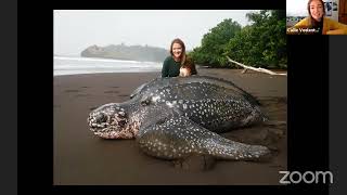 Explorer Classroom | Protecting Leatherbacks with Callie Veelenturf