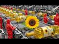 Inside the World's Largest Sunflower Oil Factory | Full Production Process