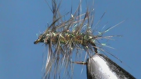 Fly Tying for Beginners a GSS Gnat with Jim Misiura