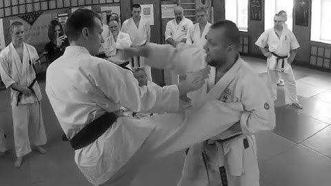 Uechi ryu kumite (sparring) / grabs technique