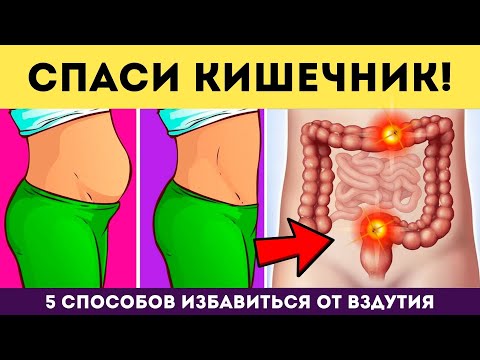 Видео: Как перестать перекусывать и есть на ночь: 13 шагов