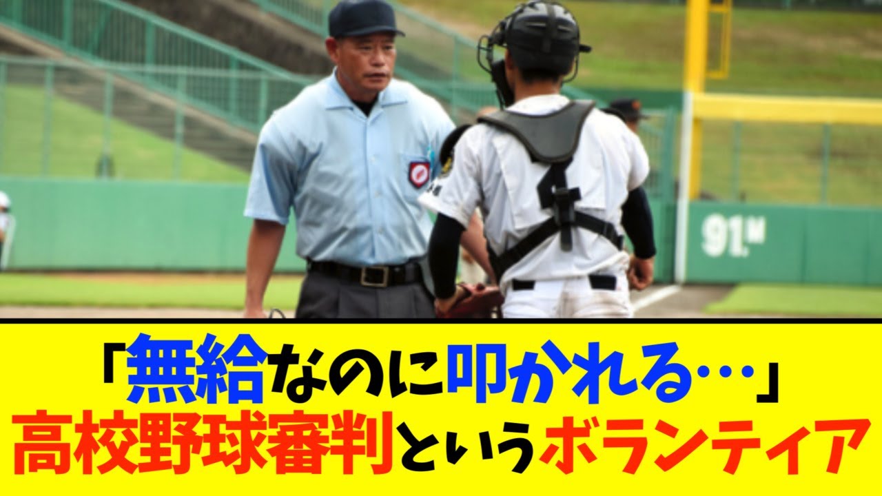 甲子園 審判 ボランティア