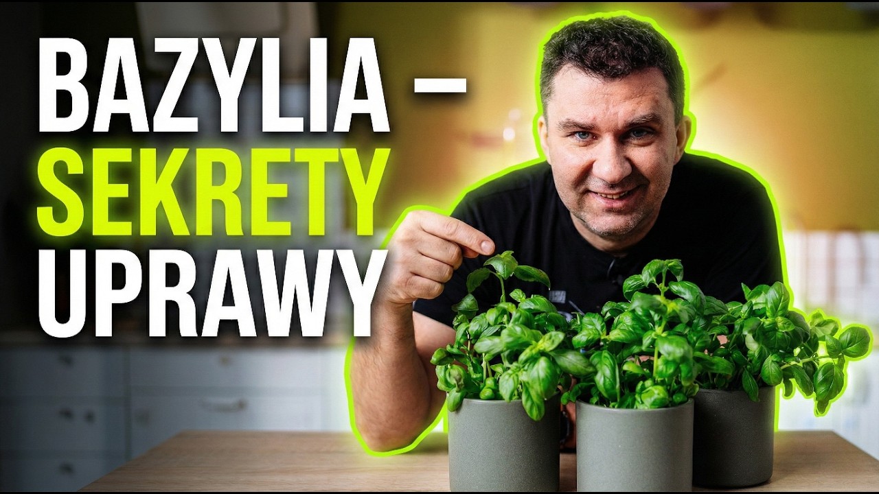 PRZESTAŃ zabijać zioła z marketu. 3 proste kroki do sukcesu