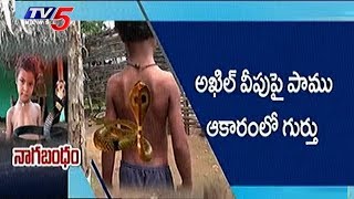 ఈ చిన్నారిది పున్నమి నాగులో చిరంజీవి పరిస్థితి !! | Snake Haunts Boy | Nijam | TV5 News