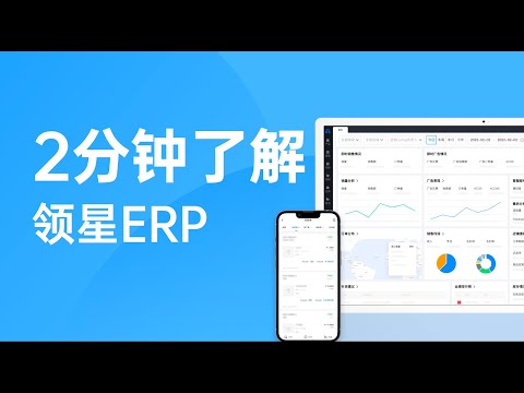 What is LINGXINGERP?