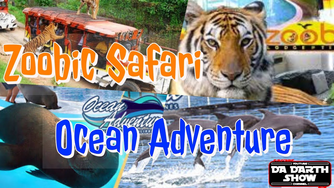 hotel near zoobic safari and ocean adventure