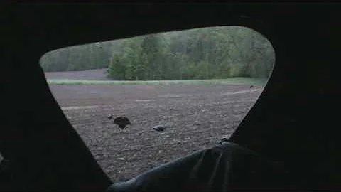 The Doc's first turkey