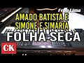 Folha Seca - Amado Batista & Simone & Simaria - Karaokê com Fran Lima