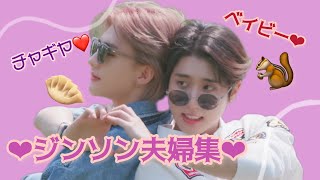 ジンソン夫婦まとめ【ヒョンジン🥟&ハン🐿】【StrayKids】【チャギヤ❤︎】