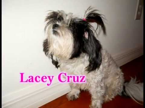 Lacey cruz agree Agree, lacey cruz