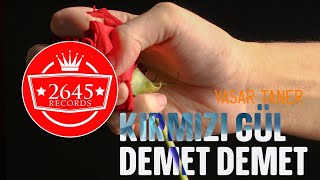 Yaşar Taner - Kırmızı Gül Demet Demet (Enstrumental) Resimi