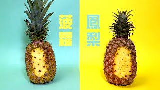東張西望 | 菠蘿與鳳梨原來不一樣?! 一片學識4種切法