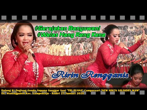 #Gerajakan Banyuwangi # Welas Hang Reng Kene RIRIN RENGGANIS 25 Januari 2020