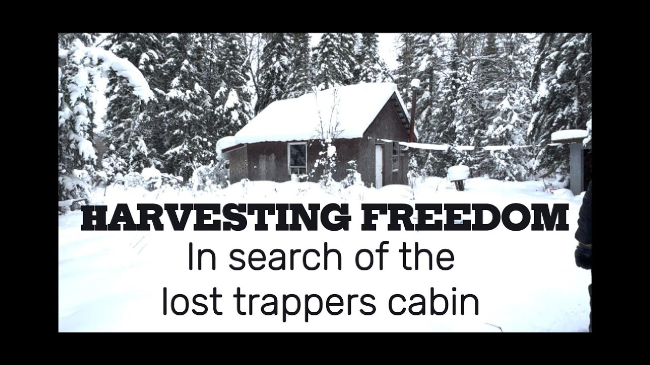 In search of the lost trappers cabin