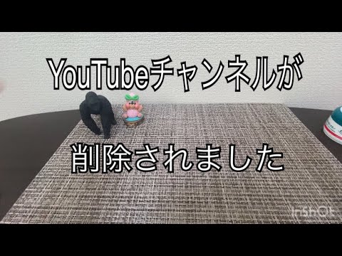 【ASMR/音フェチ】チャンネル登録者455人から0人へのお話しをします【囁き声】