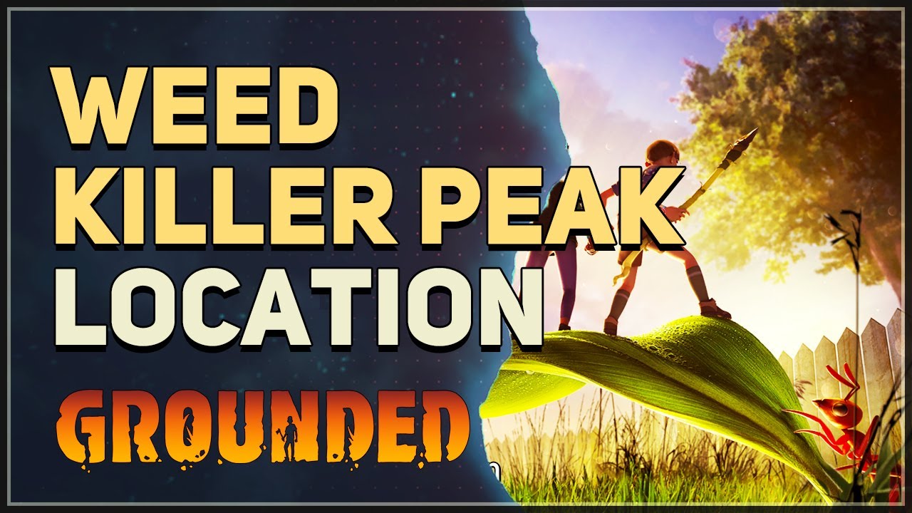 Weed Killer Peak Grounded