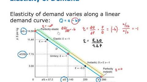 Elasticity along Linear Demand