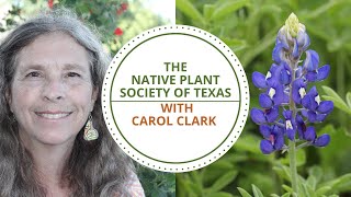 The Native Plant Society of Texas with Carol Clark