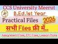 B.Ed.1st Year Practical Files 