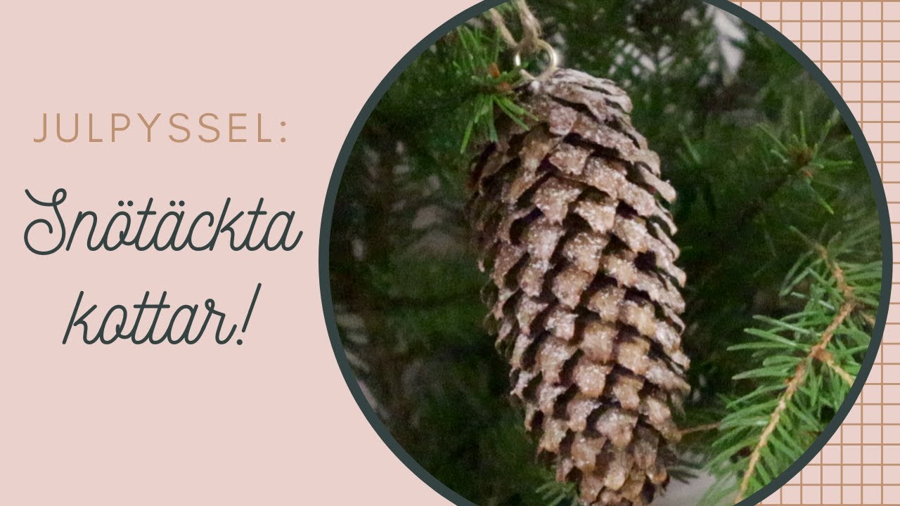 JULPYNT SNÖTÄCKTA KOTTAR! YouTube