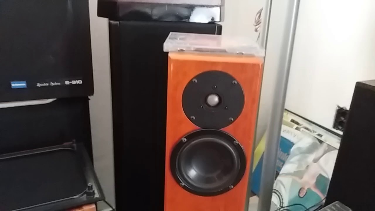 totem arro speakers