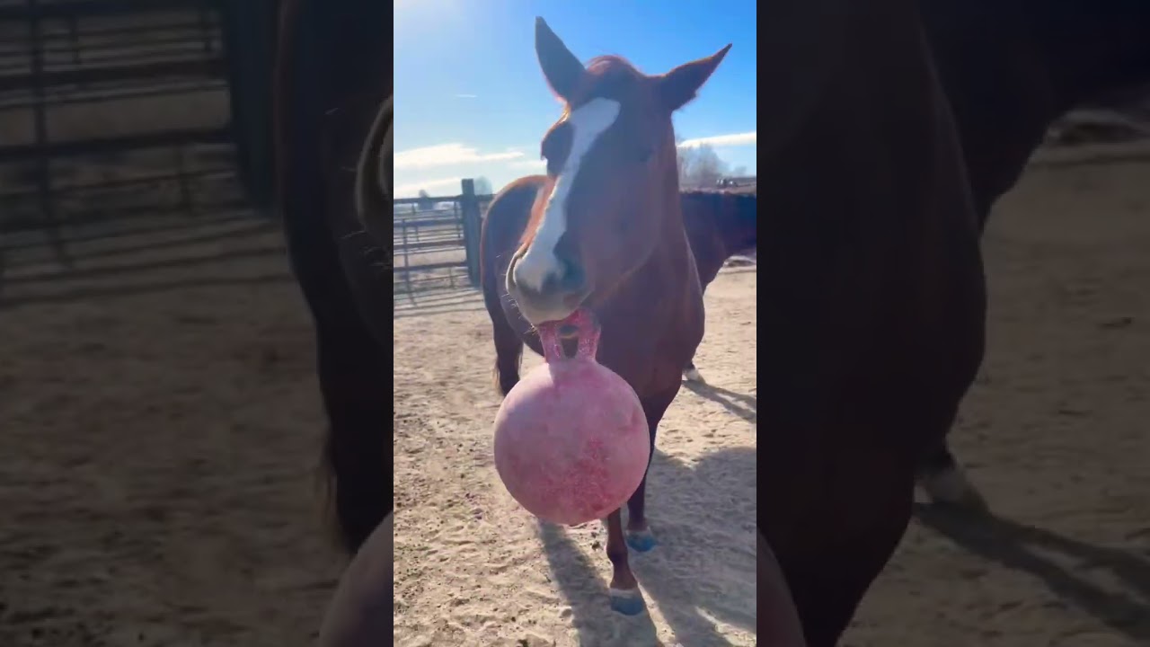 Liberty and here jolly ball 