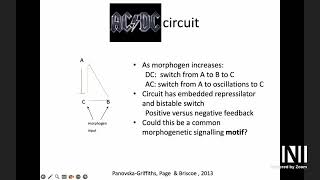 MMV | Prof. Karen Page | Positional information theory