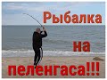 Рыбалка на пеленгаса!!!Открытие сезона!!Май 2020!!!Советую посмотреть это видео.