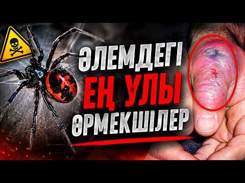 БҰЛ ӨРМЕКШІЛЕРДІ КӨРГЕНДЕ БІРДЕН ҚАШ!