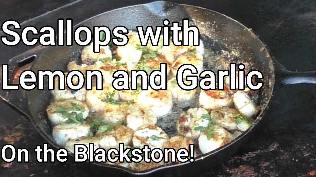 Scallops with Lemon & Garlic on my BLACKSTONE griddle! YouTube