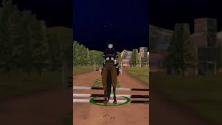 Horse Racing Simulator Games screenshot 4