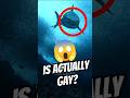 Ref:8lgNlkcz26s Is megalodon actually real   
