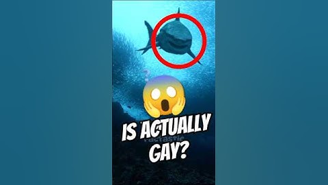 Is Megalodon Actually Real?😱🦈