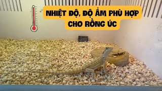 Nhiệt độ, độ ẩm phù hợp trong chuồng rồng Úc là bao nhiêu/ Incage temperature, humidity for dragons