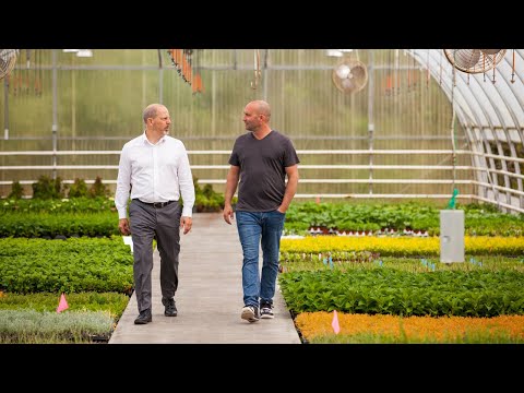 EVL Nursery & Westcan Greenhouses Ltd. | Envision Financial member spotlight