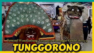 Barongan ndadi Reog TUNGGORONO live Terminal Wonokambang Tirtomulyo Plantungan Kendal 28 07 23