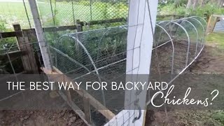 Chicken Tunnels Part 3: Rotational Grazing