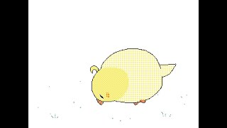 Little bird roll - Animation