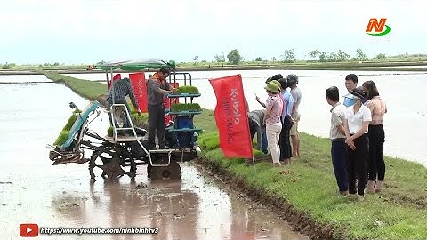 Hội nghị sản xuất lúa theo chuỗi giá trị đồng bộ và trình diễn mạ khay, máy cấy