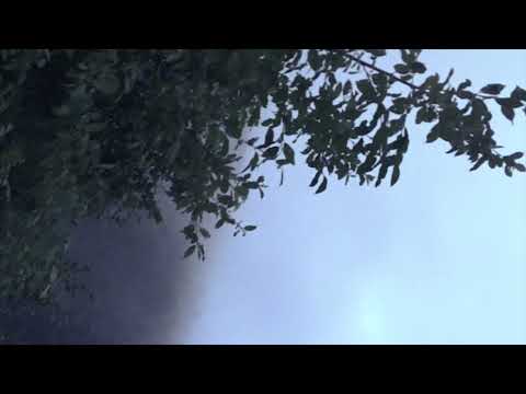 FLOWERS - Chemical Burn (Official Video)