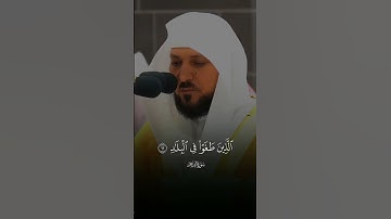 تلاوة خاشعة ومؤثرة بصوت الشيخ ماهر المعيقلي ارح سمعك #قرآن #راحة_نفسية #القرآن #fyp