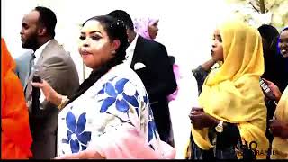 NIMCO DEGAN AROOSKII HADIYA DAYIB┇LAAMA LAWSHAHA ᴴᴰ┇SOMALI RECORD MUSIC 2019