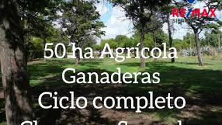 50 hectáreas Agro-Ganaderas en Saavedra, Provincia de Buenos Aires USD75.000
