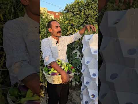   مع سيلفا تاور هنخليك تزرع في كل مكان