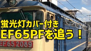 🟨蛍光灯カバー付き　EF65PFを追う！  EF65 2089号機