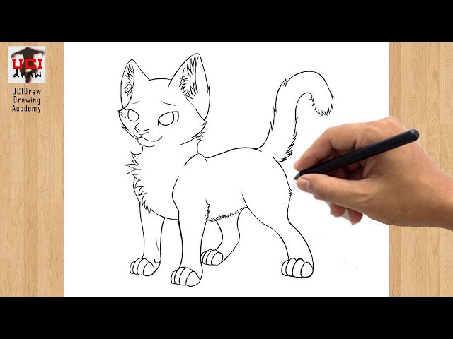 how to draw warrior cats anime