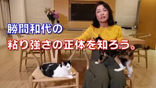 勝間和代の、粘り強さの正体は知ろう。それは、しくみと報酬であって、意志や努力ではありません。